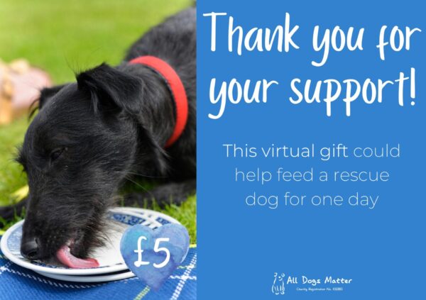 Virtual Gifts - Image 2