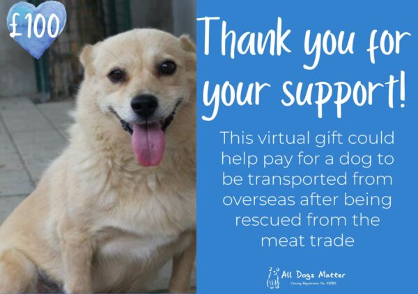 Virtual Gifts - Image 5