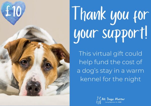 Virtual Gifts - Image 6