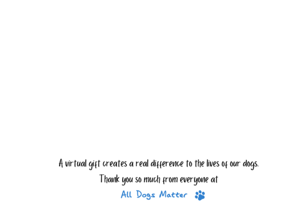 Virtual Gifts - Image 8